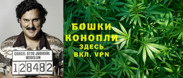 гидра Переславль-Залесский