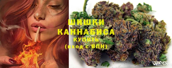 СК Пестово