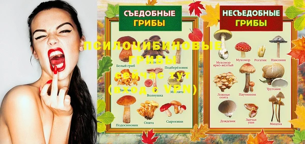 mdpv Пересвет