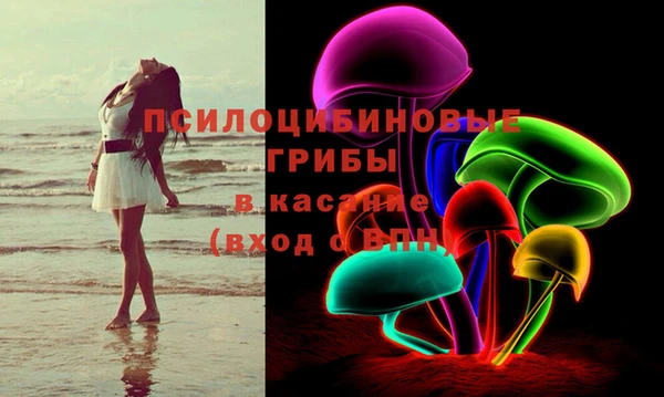 СК Пестово