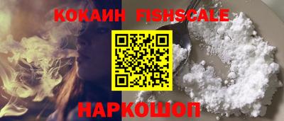 стафф Камышлов