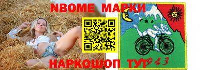 стафф Камышлов