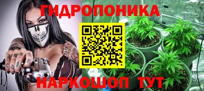 соль ск Кандалакша