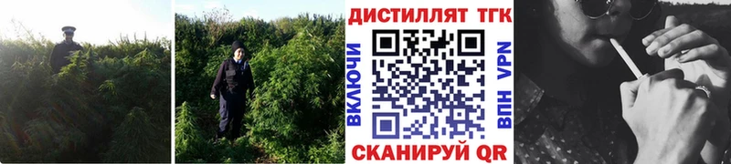 Дистиллят ТГК гашишное масло Сланцы