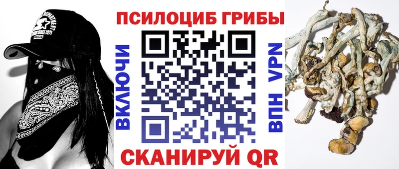 Галлюциногенные грибы ЛСД  omg как зайти  Сланцы 