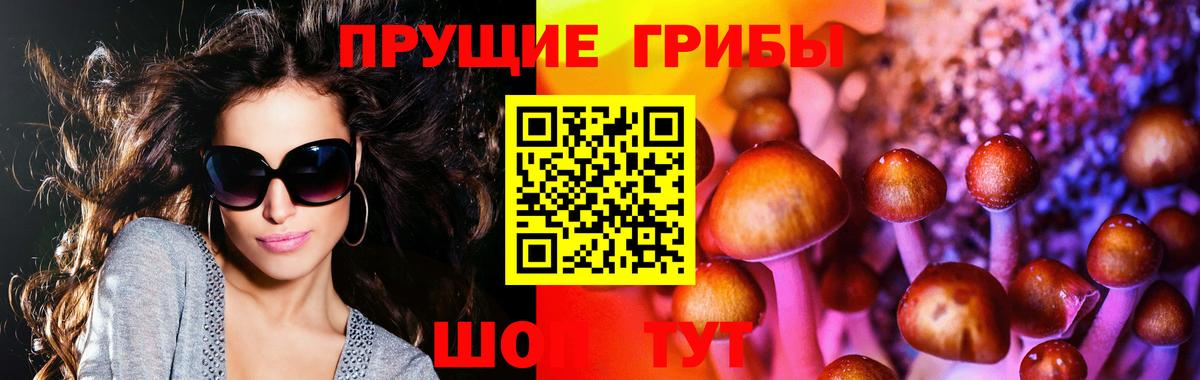 цены наркотик  Псилоцибиновые грибы мицелий  Вход с VPN  Сланцы 