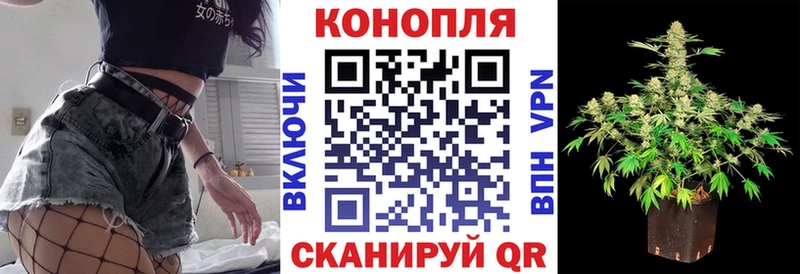 Конопля LSD WEED где купить Сланцы